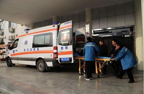 河南中学爆料事件视频,揭开校园乱象的真相 第3张 河南中学爆料事件视频,揭开校园乱象的真相 第3张